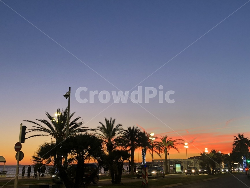 니스,일몰,sunset,해질녘,바다일몰,nice,프랑스,하늘,night,야경,밤,풍경,nightscape,night,landscape,도시,city,outdoors,옥외,tree,나무,arecaceae,Arecaceae,palm tree,야자수,plant,식물