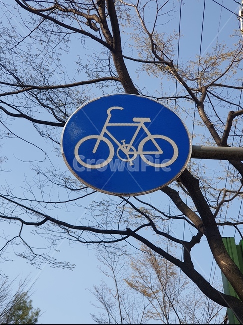 교통,표지판,자전거,도로,자전거로도,표시,자전거사인,자전거전용,자전거표시,자전거표지판
