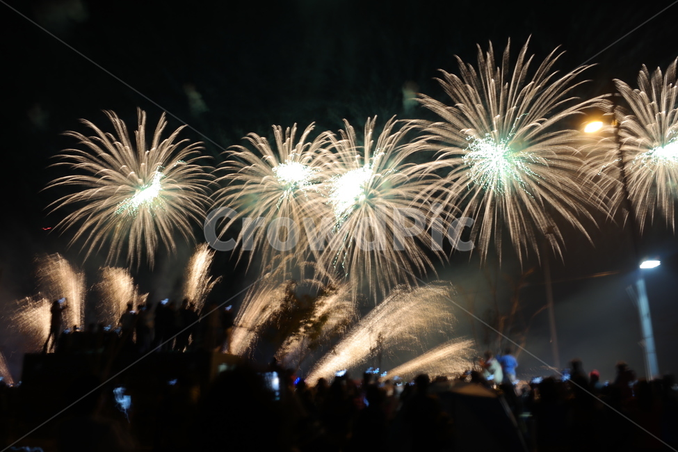 야경,불꽃놀이,빛,축제,불꽃,야경,밤,풍경,nightscape,night,landscape,축제,행사,festival,carnival,event,nature,자연,outdoors,옥외