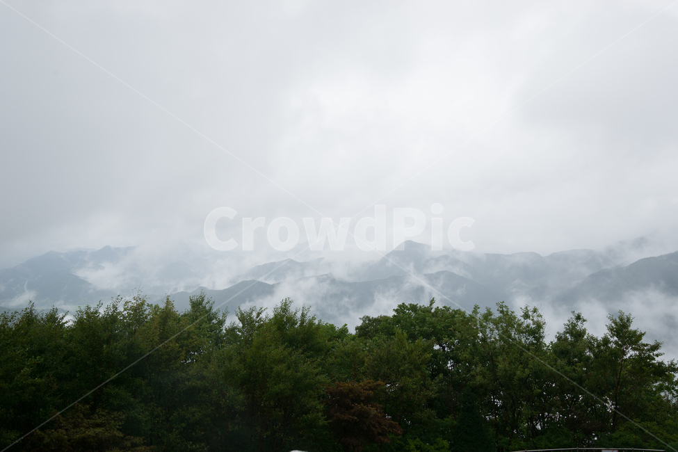 구름,골짜기,산골짜기,나무,산,배경,바탕,뒷배경,배경이미지,무주,적상산,산맥,비구름,안개