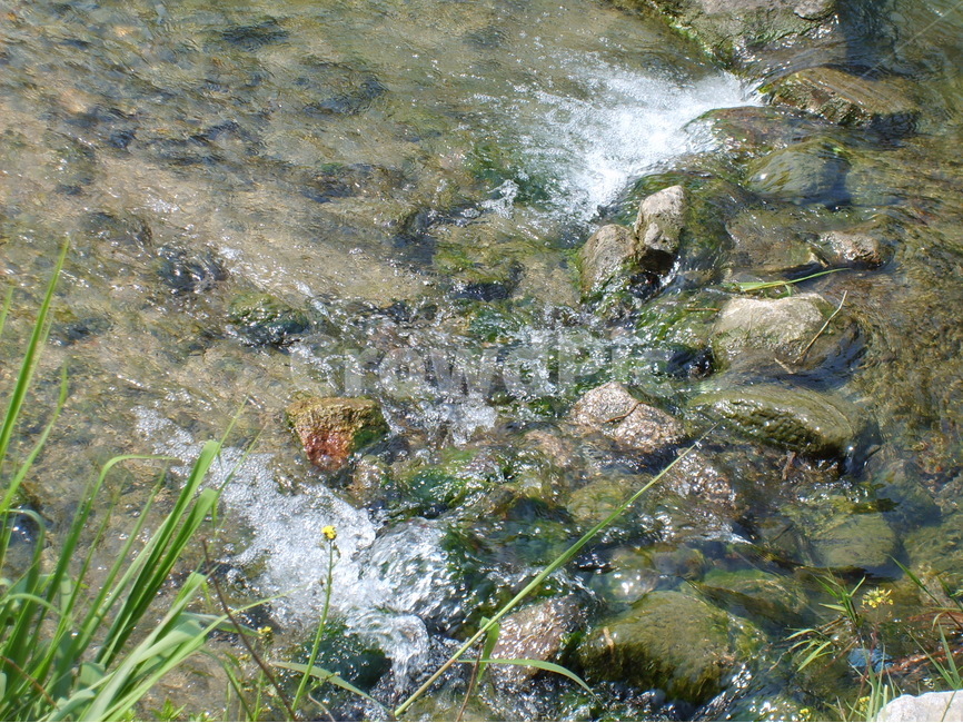 물,돌,풀,개천,휴식,자연,풍경,nature,landscape,water,outdoors,옥외,stream,흐름,creek,작은 만