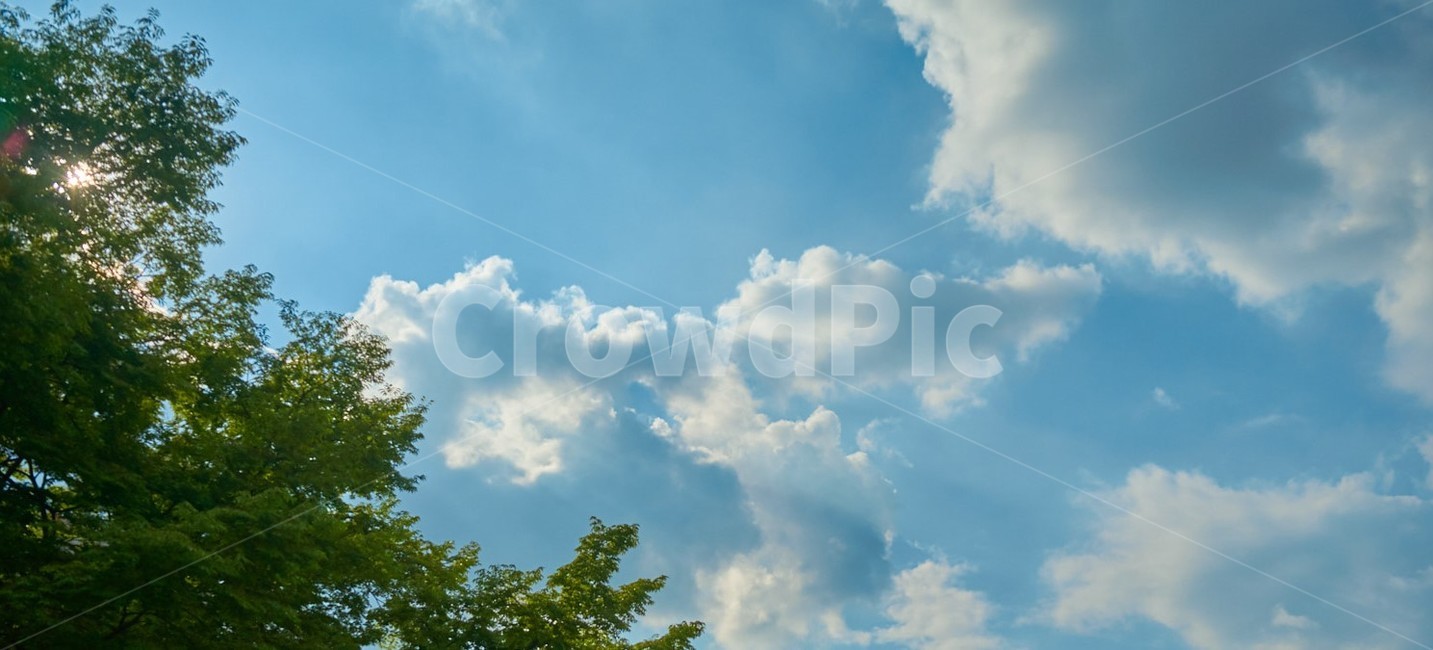 nature,자연,outdoors,옥외,sky,하늘,azuresky,푸른하늘,자연,풍경,nature,landscape,azure sky,푸른 하늘