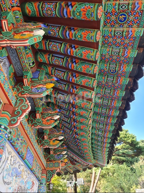 temple,architecture,건축물,building,건물,shrine,절,강화도,단청,koreantraditional,한국문화,koreanculture,kculture,structure,decorativecolouring