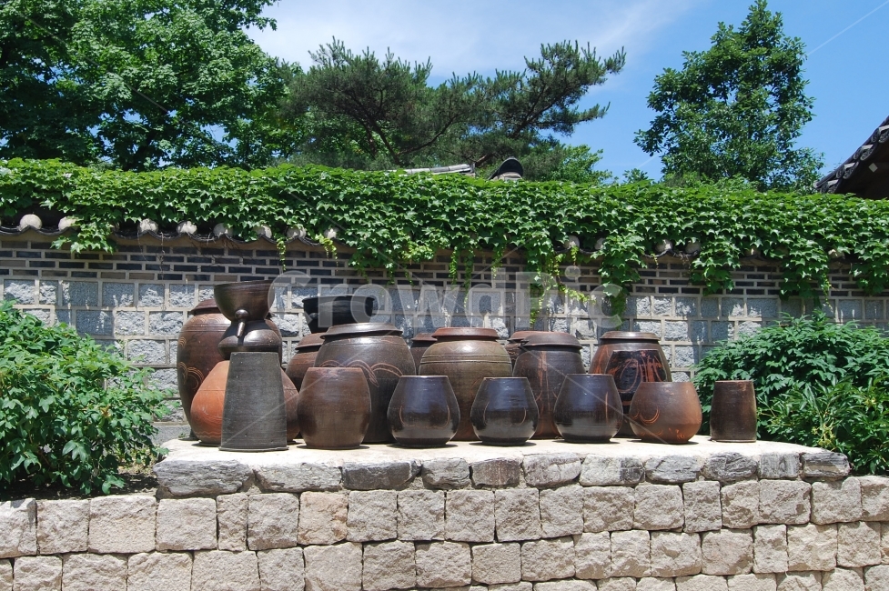 장독,장독대,항아리,민속,한국,전통,한국전통,담장,돌담,담,식물,넝쿨,담쟁이넝쿨,옹기,된장,고추장,한국전통,한국문화,korean traditional,korean culture,사물,물건,오브젝트,thing,object,matter