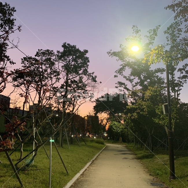 저녁,풍경,하늘,노을,밤하늘,road,도로