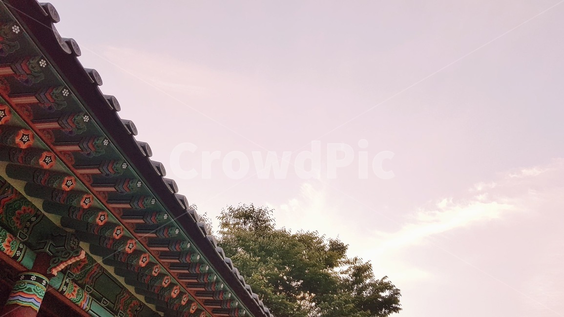 나무,자연,sky,나뭇가지,하늘,건축물,architecture,building,건물,한옥,지붕,한국전통,한국문화,korean traditional,korean culture