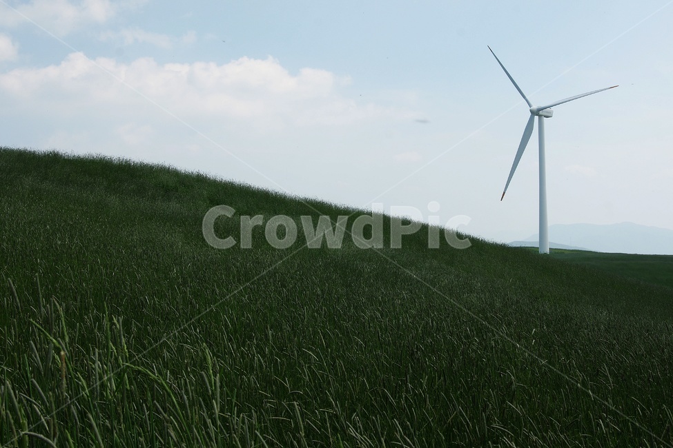 목장,파란들,풍경,초록,경치,자연,풍경,nature,landscape,산업,industry,industrial,에너지산업,energy industry,motor,모터,engine,엔진,machine,기계