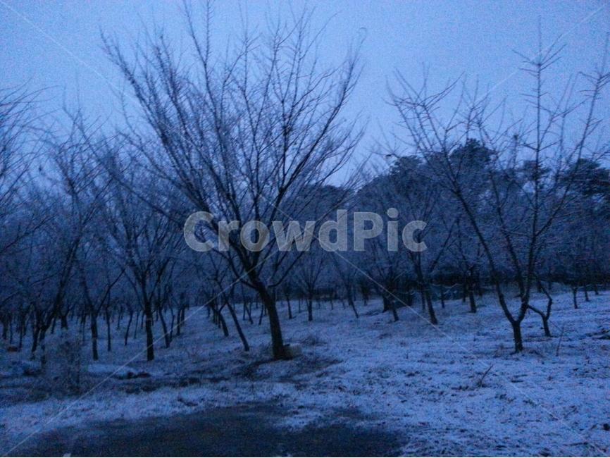늦은눈,3월의눈,이교관,이른아침,출근길,겨울,계절,winter,season,자연,풍경,nature,landscape,outdoors,옥외