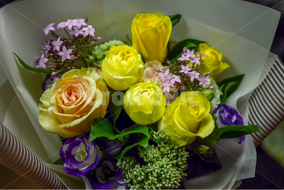 꽃,꽃다발,수국,장미,선물,여자친구,사랑,다발,플라워,flower,꽃,flower,기념일,축하,anniversary,congratulation,celebrate,celebration