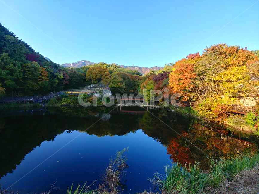 가을,단풍,호수,울긋불굿,절