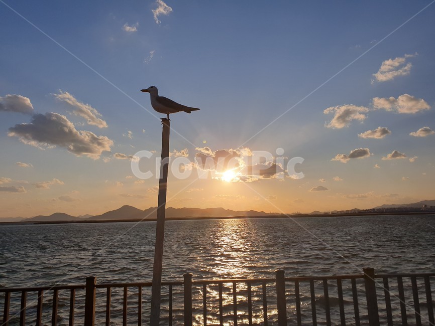 노을,솟대,갈매기,바다,저녁,아름다운,태양,sun,sunlight,sunset,bird,animal,beautiful,sea,evening