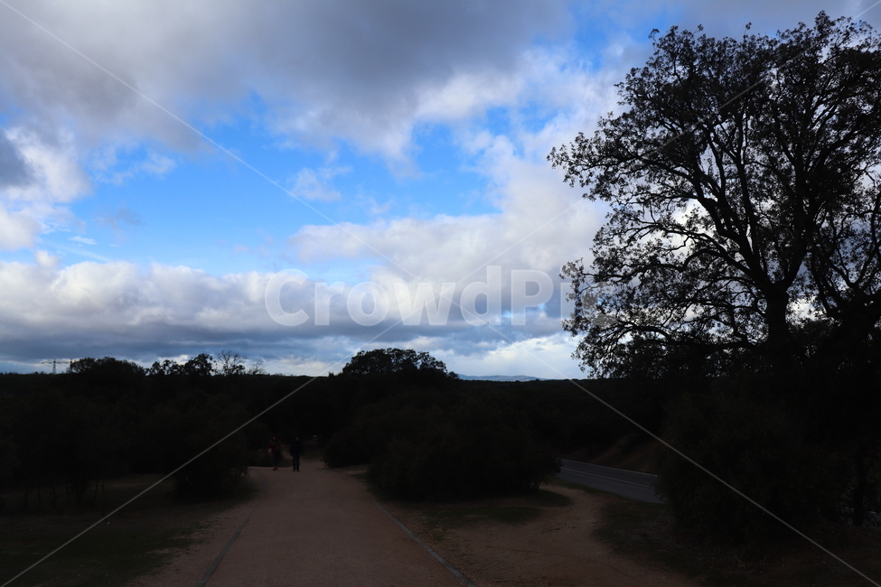 하늘풍경,자연,하늘,나무,지평선,자연,풍경,nature,landscape,weather,날씨,outdoors,옥외