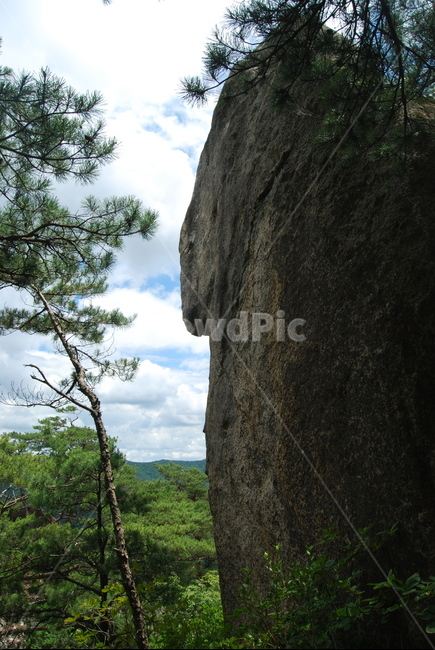 산,나무,돌,자연,하늘,구름,자연,풍경,nature,landscape,outdoors,옥외,cliff,낭떠러지