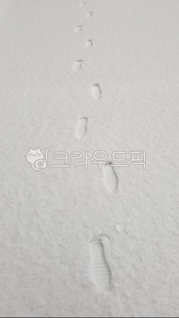 겨울,winter,눈,snow,발자국,footprint,눈길,눈밭,눈밭걷기,tracks,눈내리는날,겨울도로,겨울거리,season,눈오는날,겨울발자국,눈쌓인,폭설,자국,흰색,화이트,white,눈길걷기,발자취,발