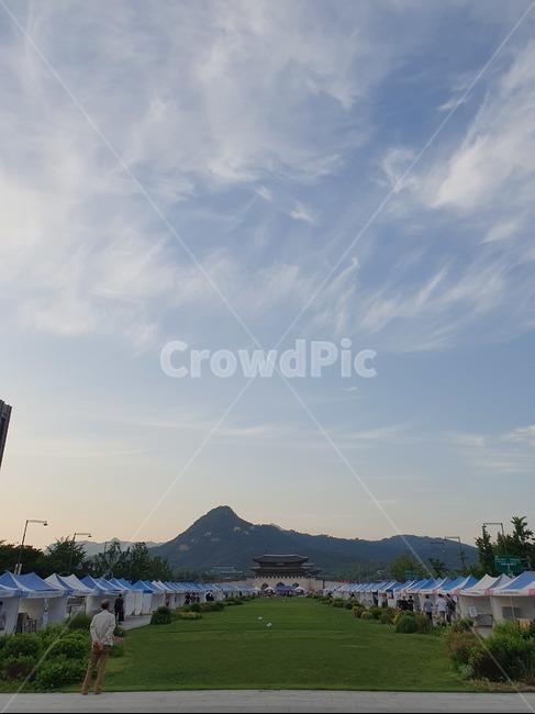 서울,종로,광화문,광장,사람,고궁,잔디,하늘,구름,도심,풍경,산책,한국전통,한국랜드마크