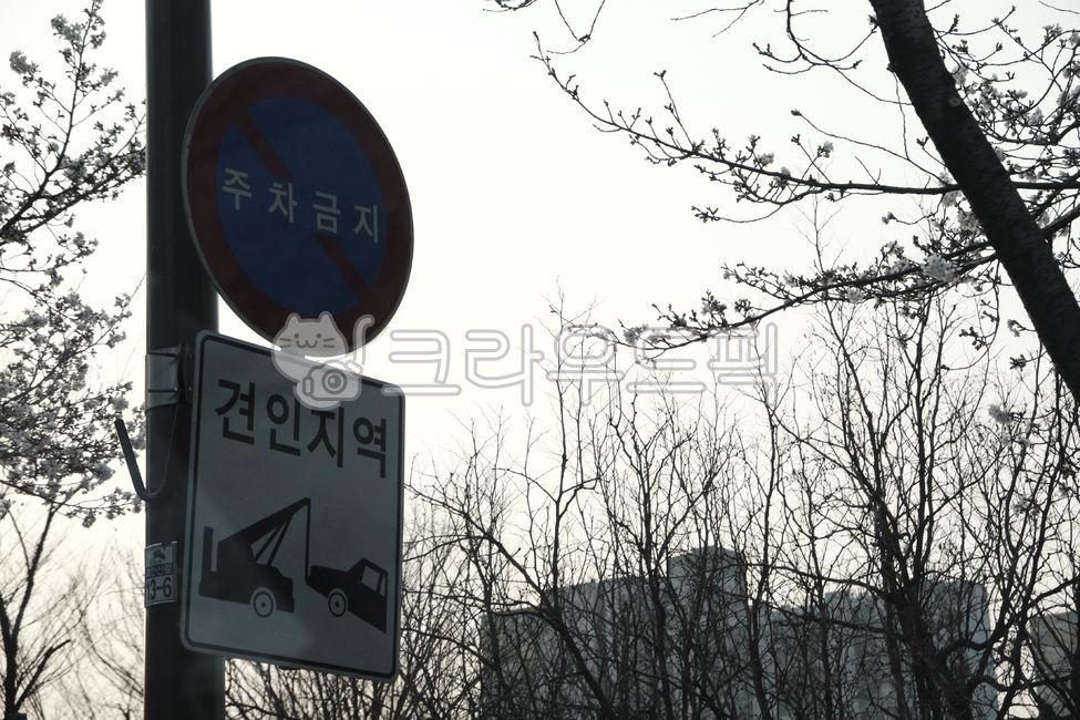symbol,Bus stop crosswalk sign,crackdown sign,speed limit,concession,road sign,sign,Towing area,roadsign,No parking allowed,Traffic Light,traffic sign,trafficlight