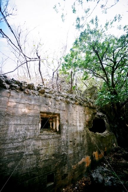 숲속,폐건물,전쟁후,창문,사이판,건축물,건물외관,exterior,building,structure,architecture,construction