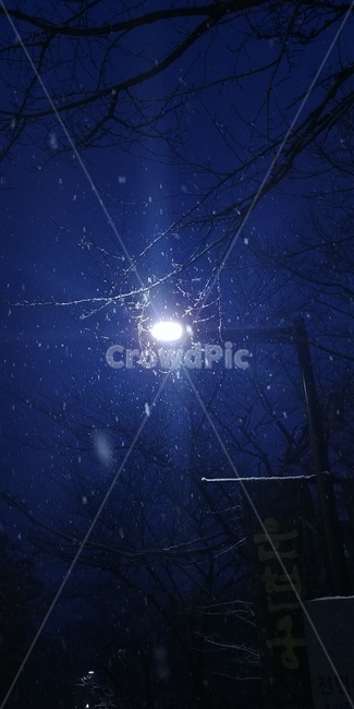 night,야간,가로등,겨울밤,snow,풍경,겨울풍경