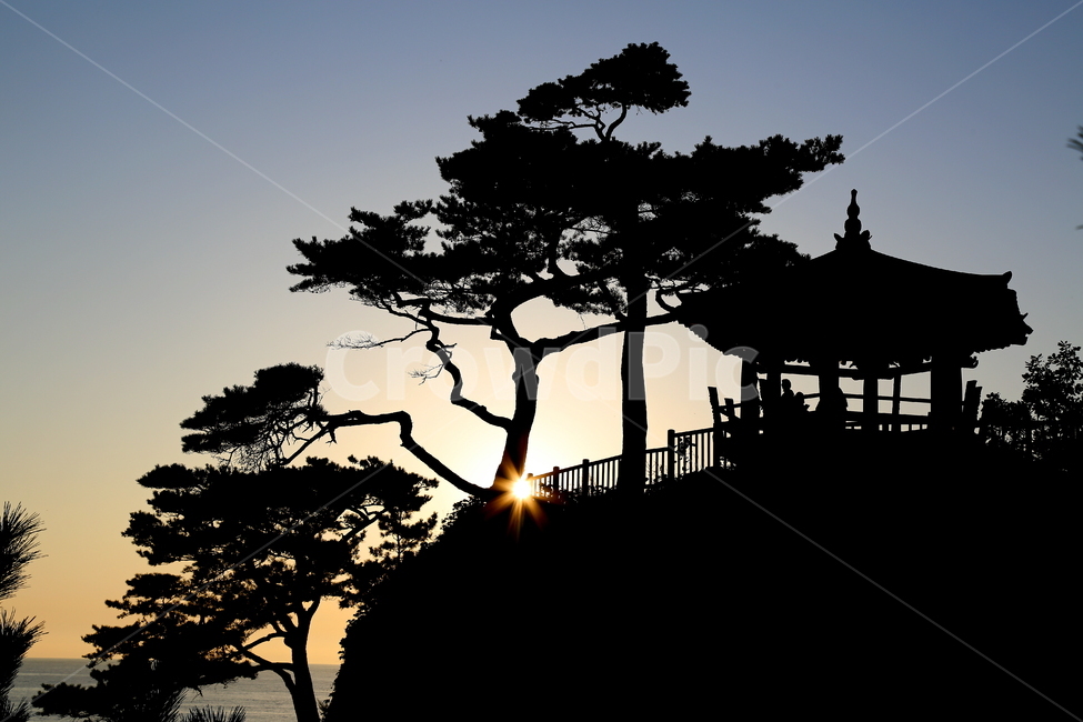 하늘,풍경,나무,자연,일출,자연,풍경,nature,landscape,한국자연풍경,한국자연경관,korea nature landscape,한국전통,한국문화,korean traditional,korean culture,식물,plants,나무,trees,wood,실루엣,그림자,silhouette,shadow