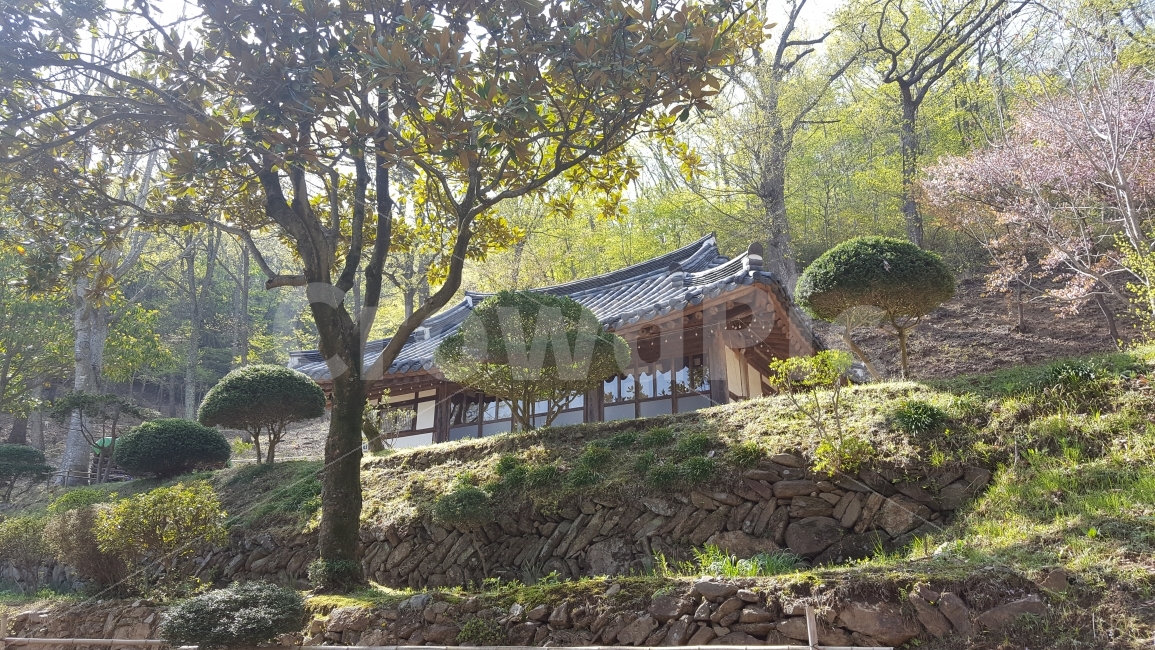 여행,travel,여행사진,국내여행,혼자여행,사진,순천,순천여행,배경사진,배경,이쁜사진,색감,색감좋은사진,송광사,절,불일암,법정스님,무소유,풍경,풍경사진,봄,싱그러움,한국전통,한국문화,korean traditional,korean culture,자연,풍경,nature,landscape,종교,신앙,religion,belief,faith,outdoors,옥외,garden,정원