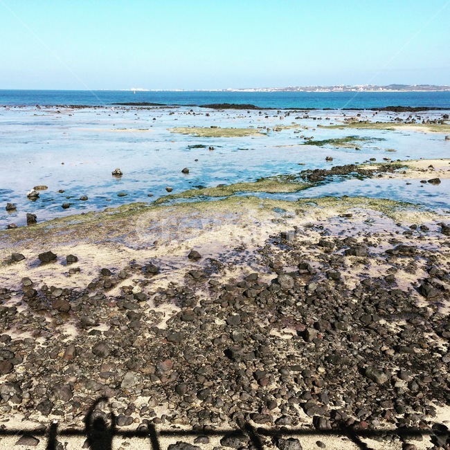 제주도,바다,sea,해안선,coast,옥외,암초,파란바다,제주바다,해변,바다,beach,sea