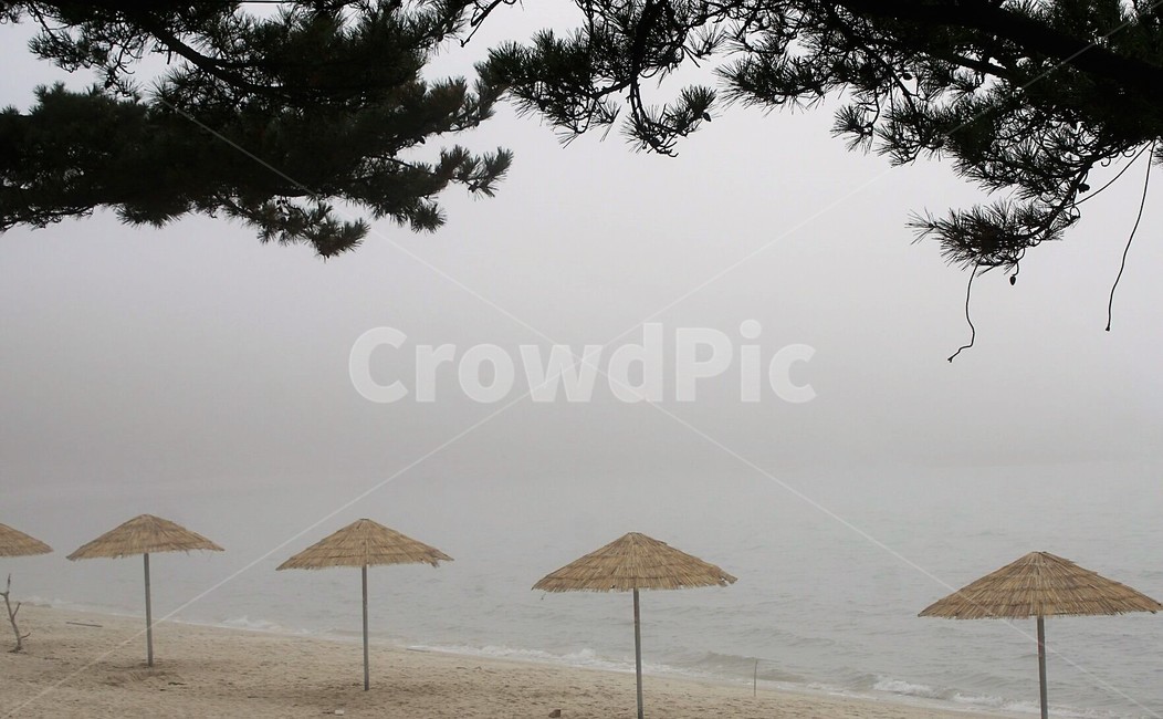 바다,안개,자연,파라솔,나무,파도,감성,서정,nature,sky,하늘,모래사장,해변,바다,beach,sea