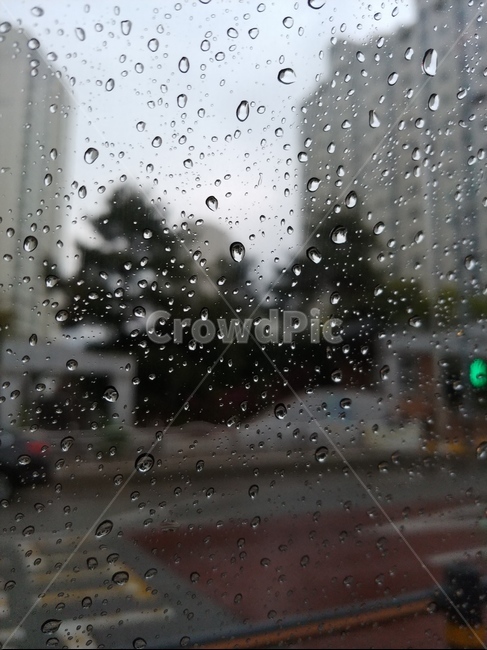 비,창가,빗방울,날씨,물방울,소나기,비,비오는날,rain,rainy