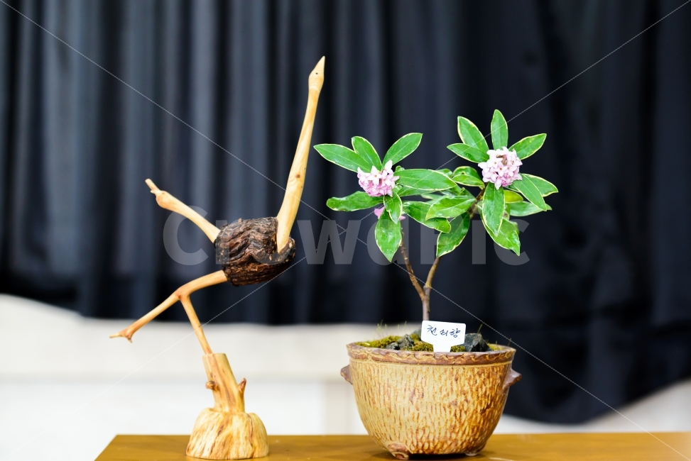감성,송방울공예,정물,사물,꽃,식물,자연,plants,nature,예술,art,인테리어,실내디자인,interior design,사물,물건,오브젝트,thing,object,matter
