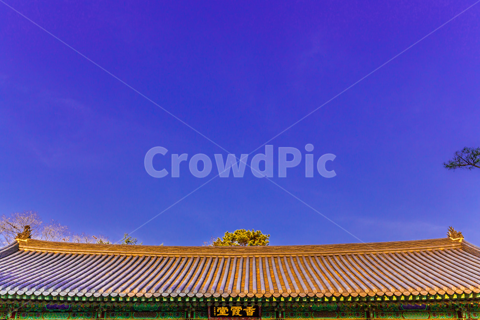 기와,선,패턴,문양,무늬,사찰,한국전통,한국문화,korean traditional,korean culture,건축물,건물외관,exterior,building,structure,architecture,construction