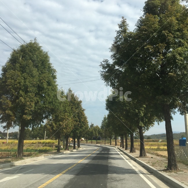 나무,길,도로,구름,풍경,자연,풍경,nature,landscape,road,freeway,고속 도로,highway,고속도로,asphalt,아스팔트