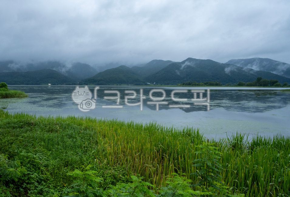 강,강가,풍경,비,물,초록,그린,안개,하늘,산,산그림자,nature,자연,outdoors,옥외,water,lake,호수