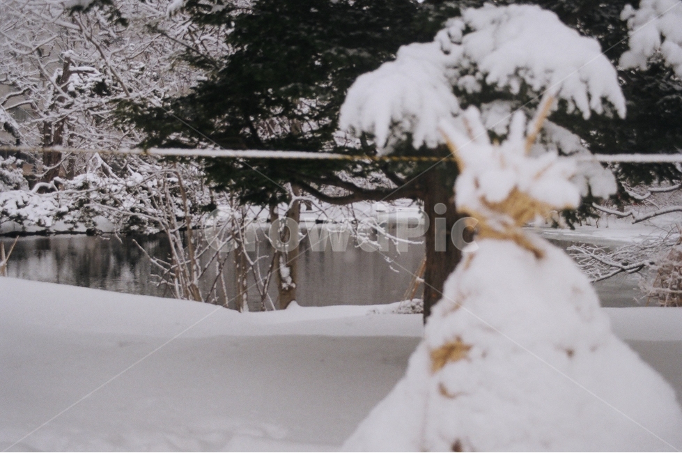 겨울,삿포로,필름카메라,눈,짚,필카,풍경,호수,겨울,계절,winter,season