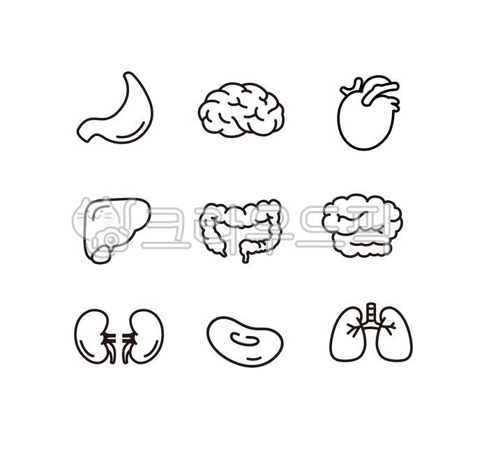 red blood cells,internal organization,Leader,icon,stomach,kidneys,body,Camouflage,Intestine,medical icon,long time,hospital,national medical center,height,our body,blood cells,health,brain,blood,heart,Medicine,lung,Pictogram,internal organs