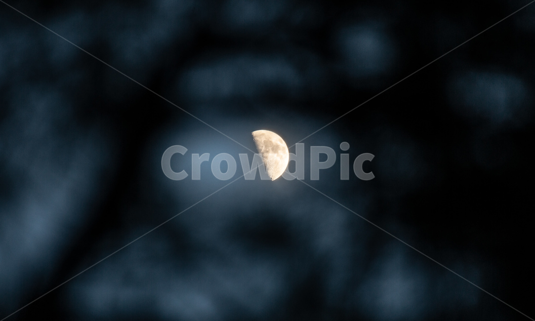 달,하현달,밤,고독,달빛,야경,밤,풍경,nightscape,night,landscape,nature,자연,outdoors,옥외,astronomy,천문학,universe,우주,moon,outer space,대기권 밖