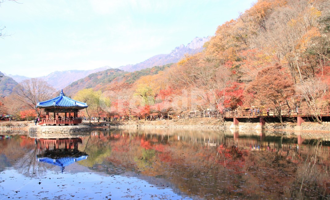 내장산,자연,호수,단풍,nature,가을,계절,fall,autumn,season,outdoors,옥외,water,물