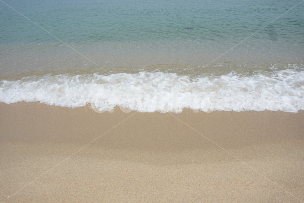 강릉,바다,파도,물,모래,해변