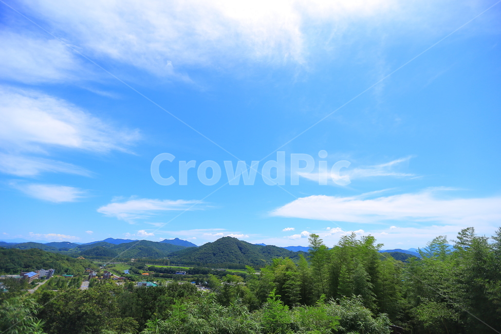 여름,풍경,숲,하늘,구름,자연,풍경,nature,landscape,tree,나무,plant,식물,fir,전나무,outdoors,옥외