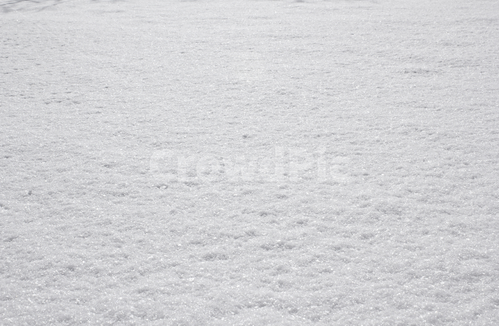 겨울,눈,눈밭,스노우,눈길,눈쌓인,폭설,자연,snow,흰색,화이트,하얀색,표면