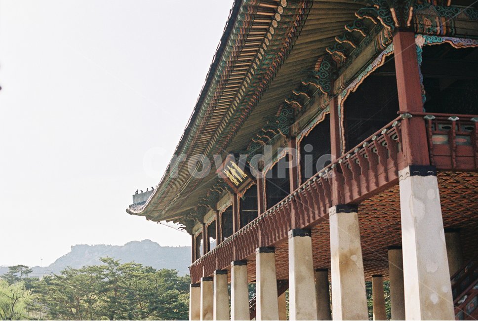 궁,처마,봄,한국,fm2,필름카메라,한국전통,한국문화,korean traditional,korean culture,건축물,건물외관,exterior,building,structure,architecture,construction