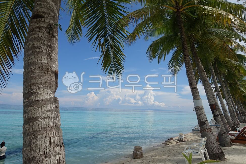 필리핀, 보홀, 여름, 해변, 야자수, 사진,이미지,일러스트,캘리그라피 - 끌라라작가