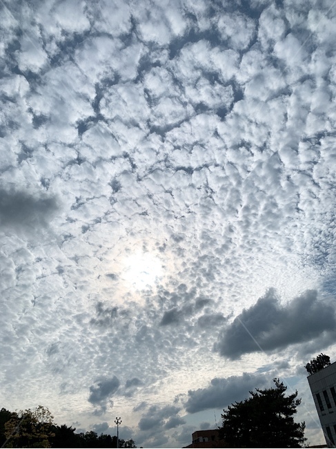 nature,자연,outdoors,옥외,weather,날씨,sky,하늘,cloud,구름,cumulus,적운