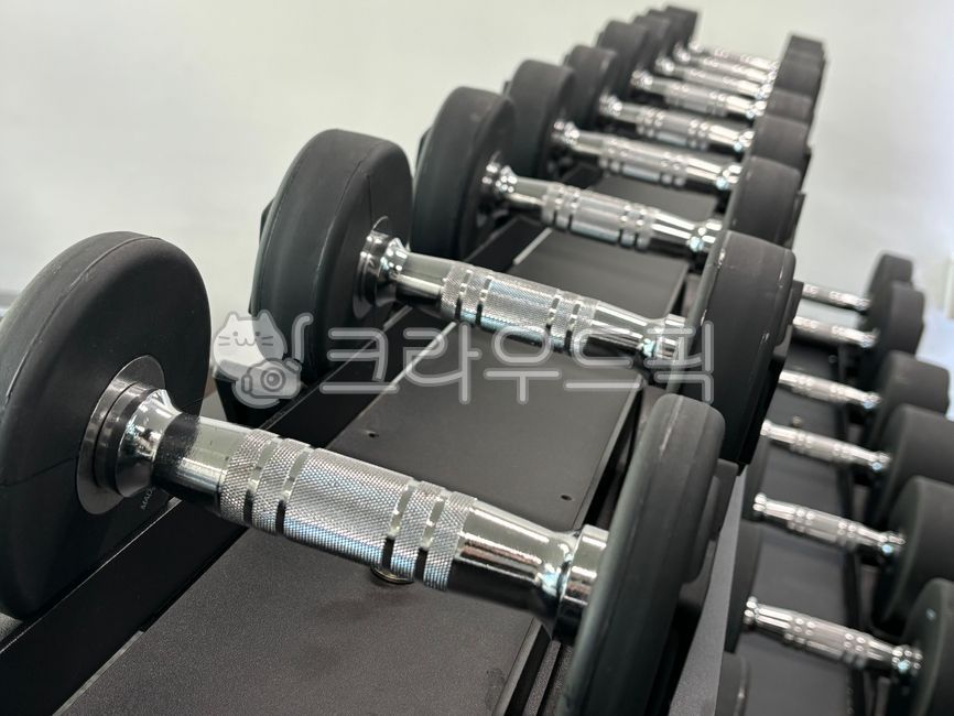 fitness,gym,체육관,운동하다,스포츠,gymweights,아령,헬스,sport,근력운동