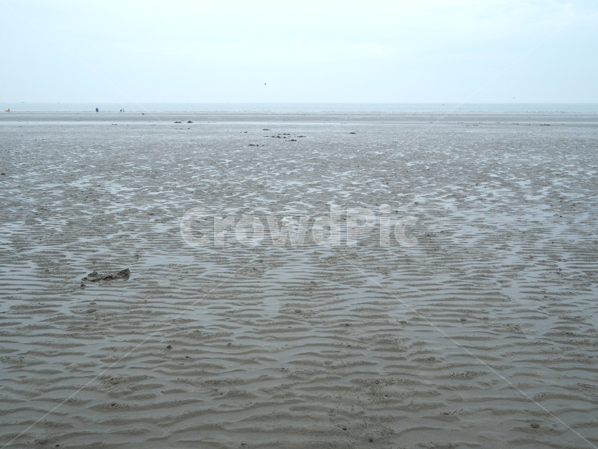 바다,갯벌,자연,해변,해변가,sea,nature,outdoors,옥외,자연,풍경,nature,landscape
