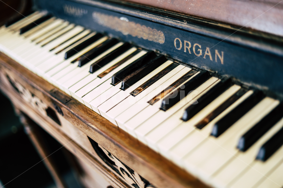 piano,그랜드피아노,피아노,오르간,악기,grandpiano
