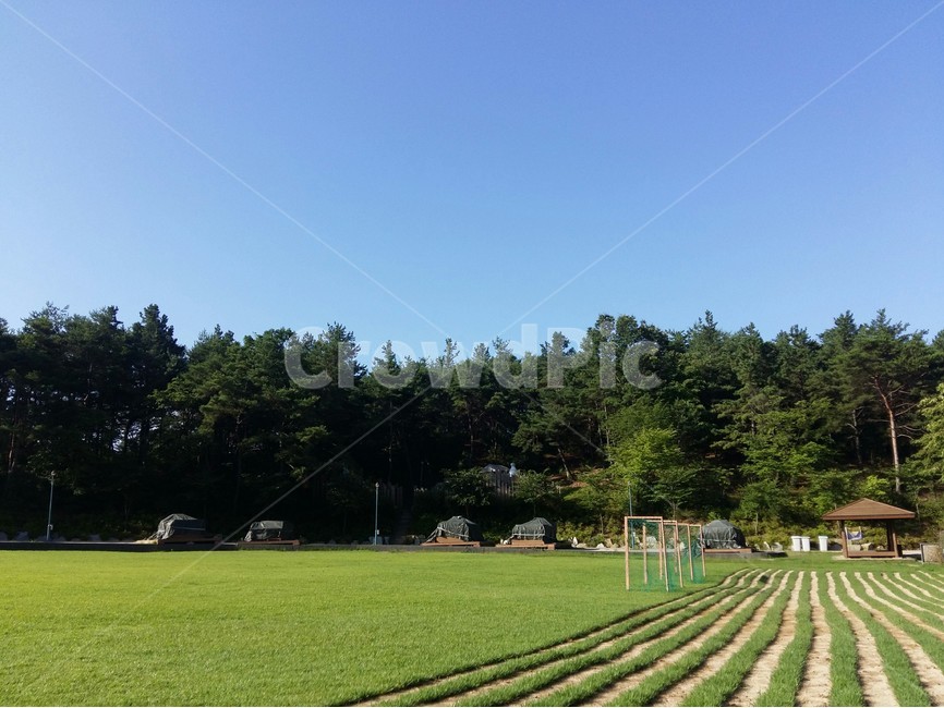 감성사진,하늘,자연,풍경,녹음,자연,풍경,nature,landscape,grass,잔디,plant,식물,lawn