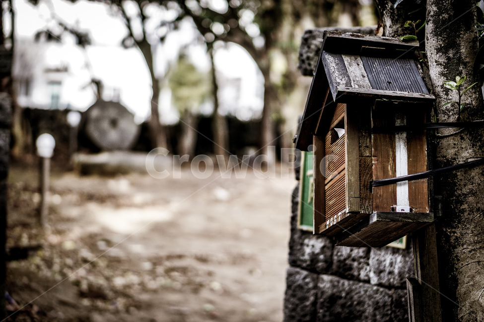 나무,우체통,시골,시골길,편지,돌담길,자연,스냅,wood,letterbox,letter,nature,빈티지사진,빈티지느낌,빈티지감성,vintage