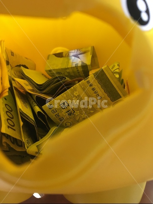 돈,저금통,돼지저금통,적금,money,piggybamk,알맹이,부자,속은아름다워