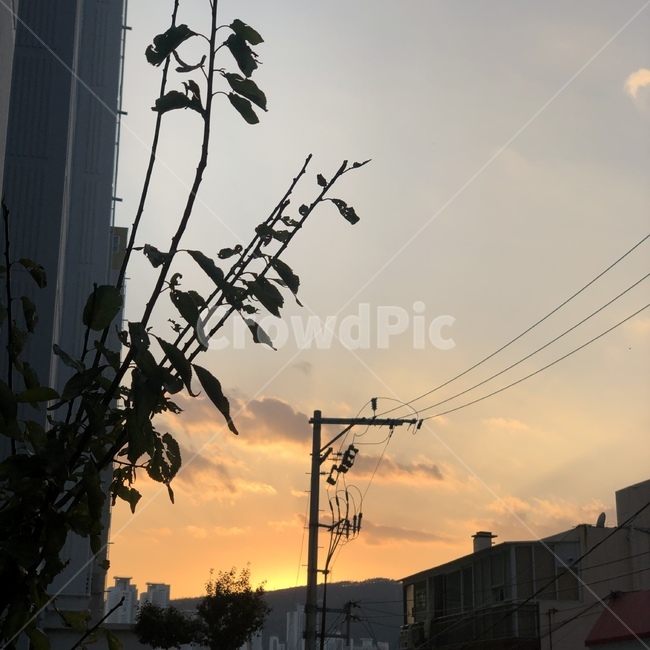 nature,석양,노을,하늘,가을,구름,동네