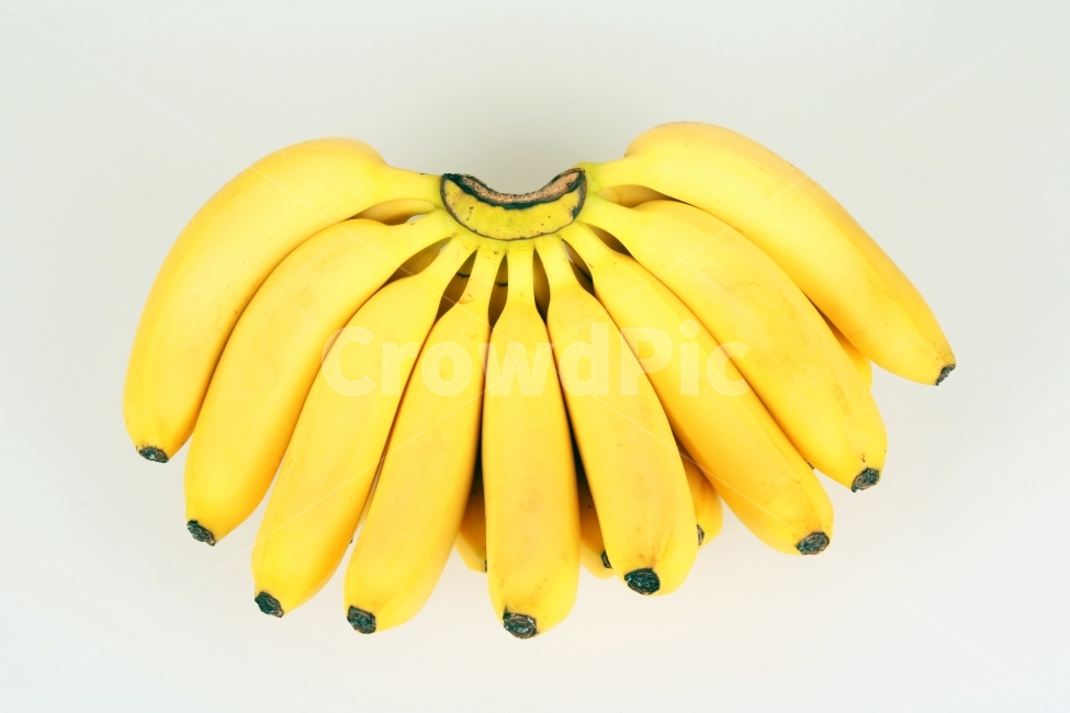 바나나,과일,생과일,음식,디저트,웰빙,식물,열매,다이어트,컨셉,콘셉,다울,열대과일,음식,식재료,요리,food,cook,meal,dishes,food reserves,과일,열매,fruit,누끼,remove background