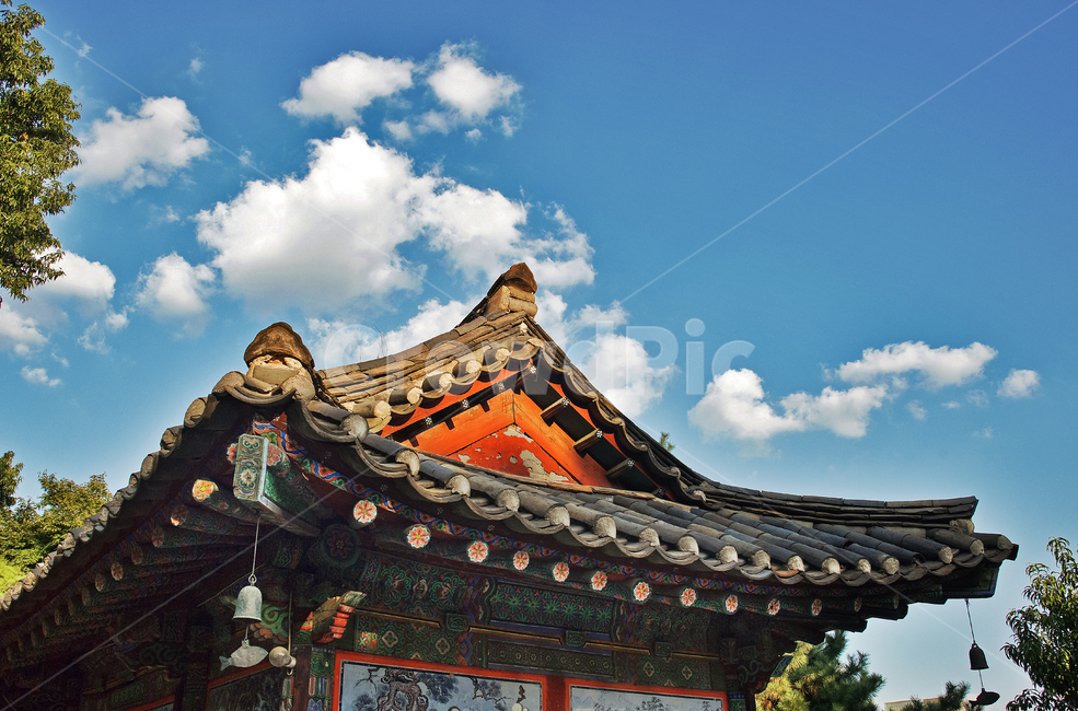 처마,사찰,봉은사,한옥,기와,불교사찰,삼성동